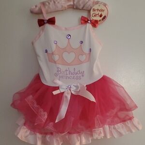 Charming Pink Princess Dance Dress